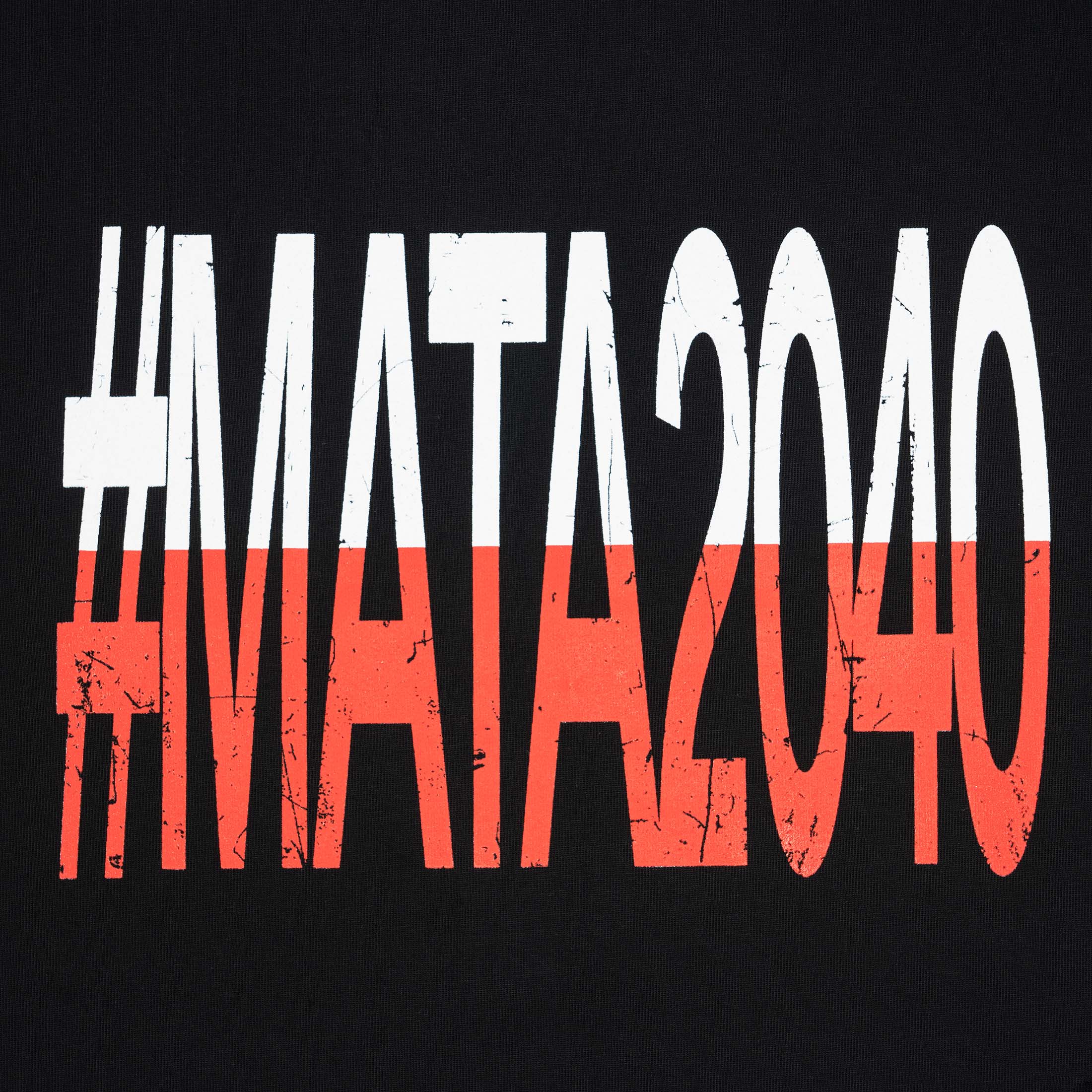 t33shirt #2040 polska (black)